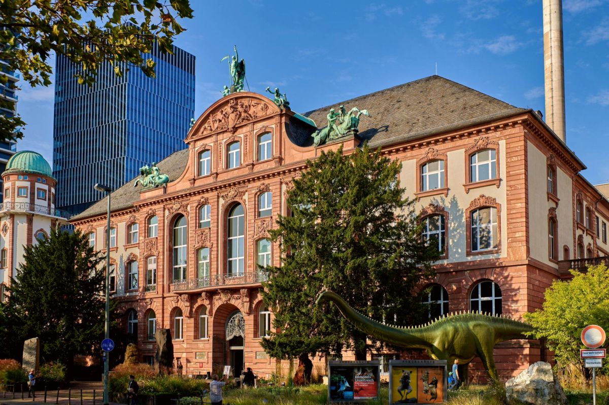 Senckenberg Natural History Museum