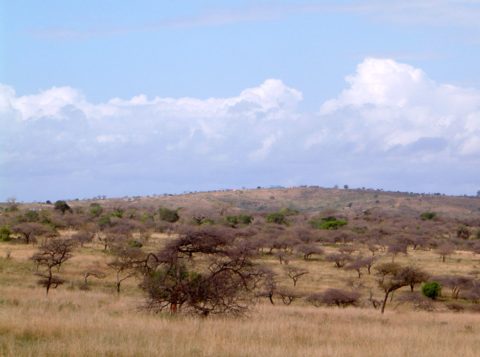 Hluhluwe