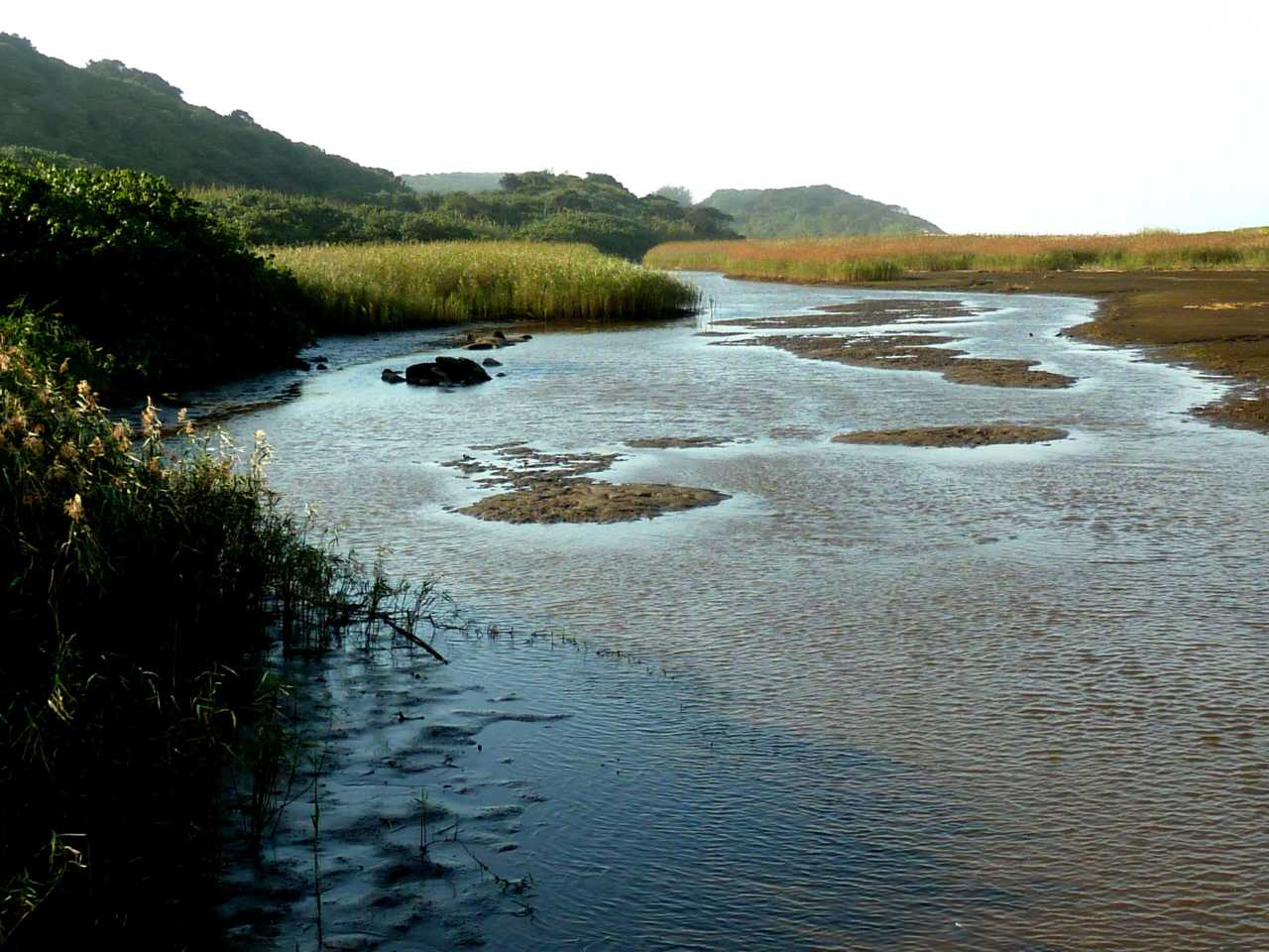 Umhlanga Lagoon Nature Reserve