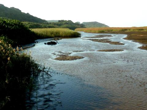 Umhlanga Lagoon Nature Reserve