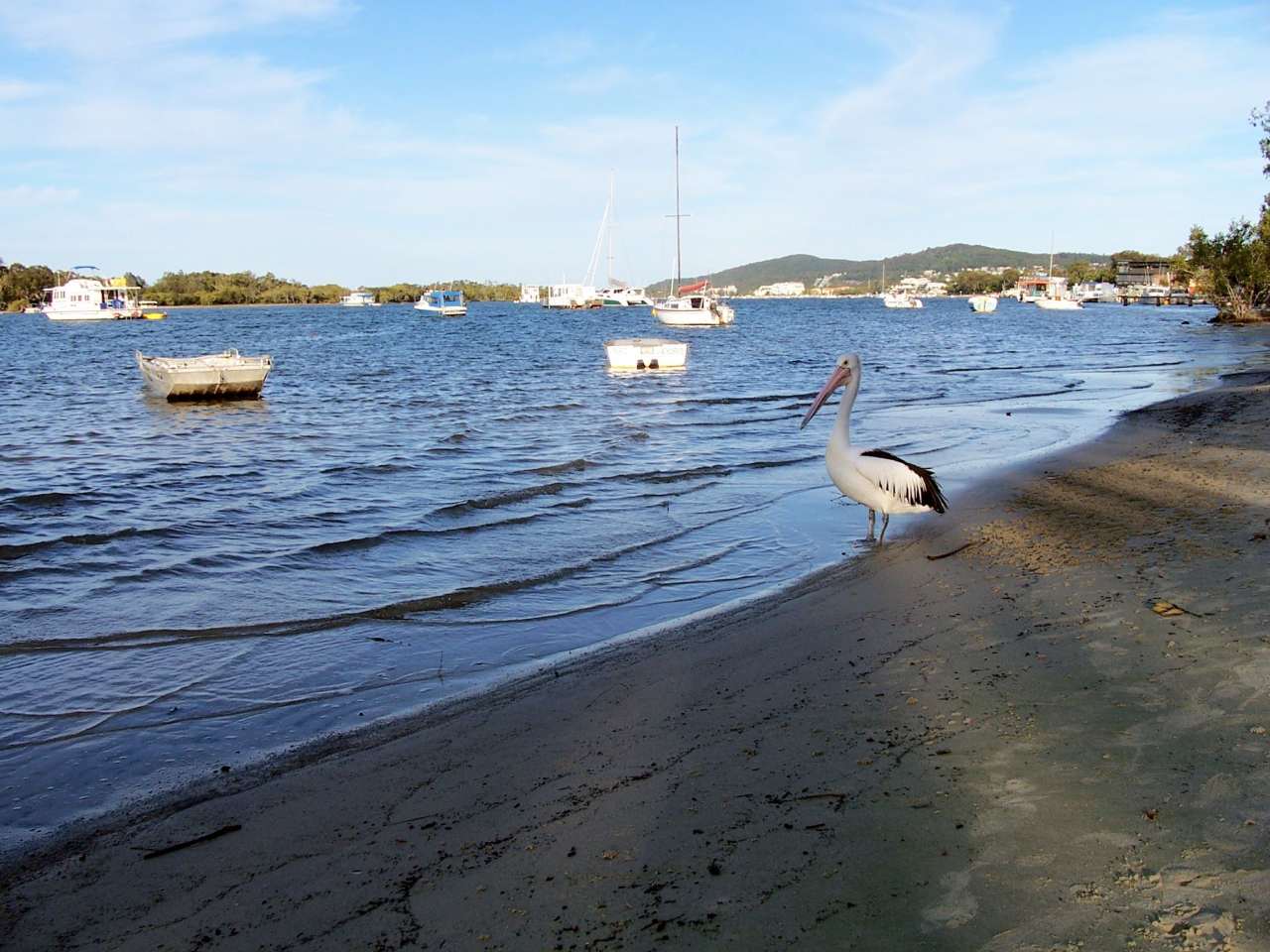Noosa River