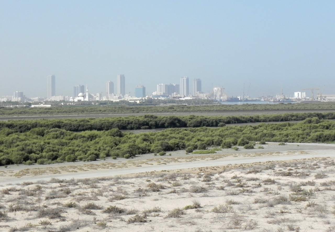 Geschichte - Umm Al-Quwain