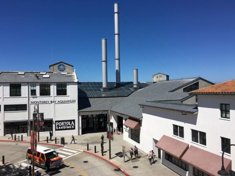 Monterey Bay Aquarium