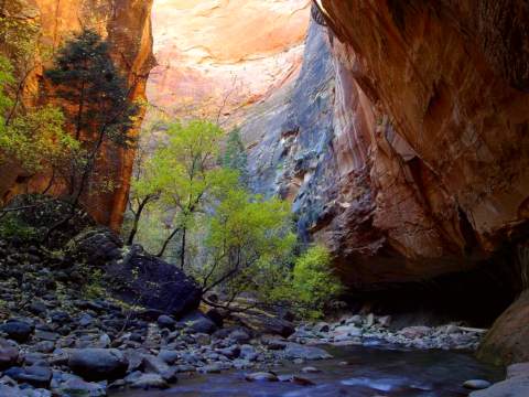 The Narrows
