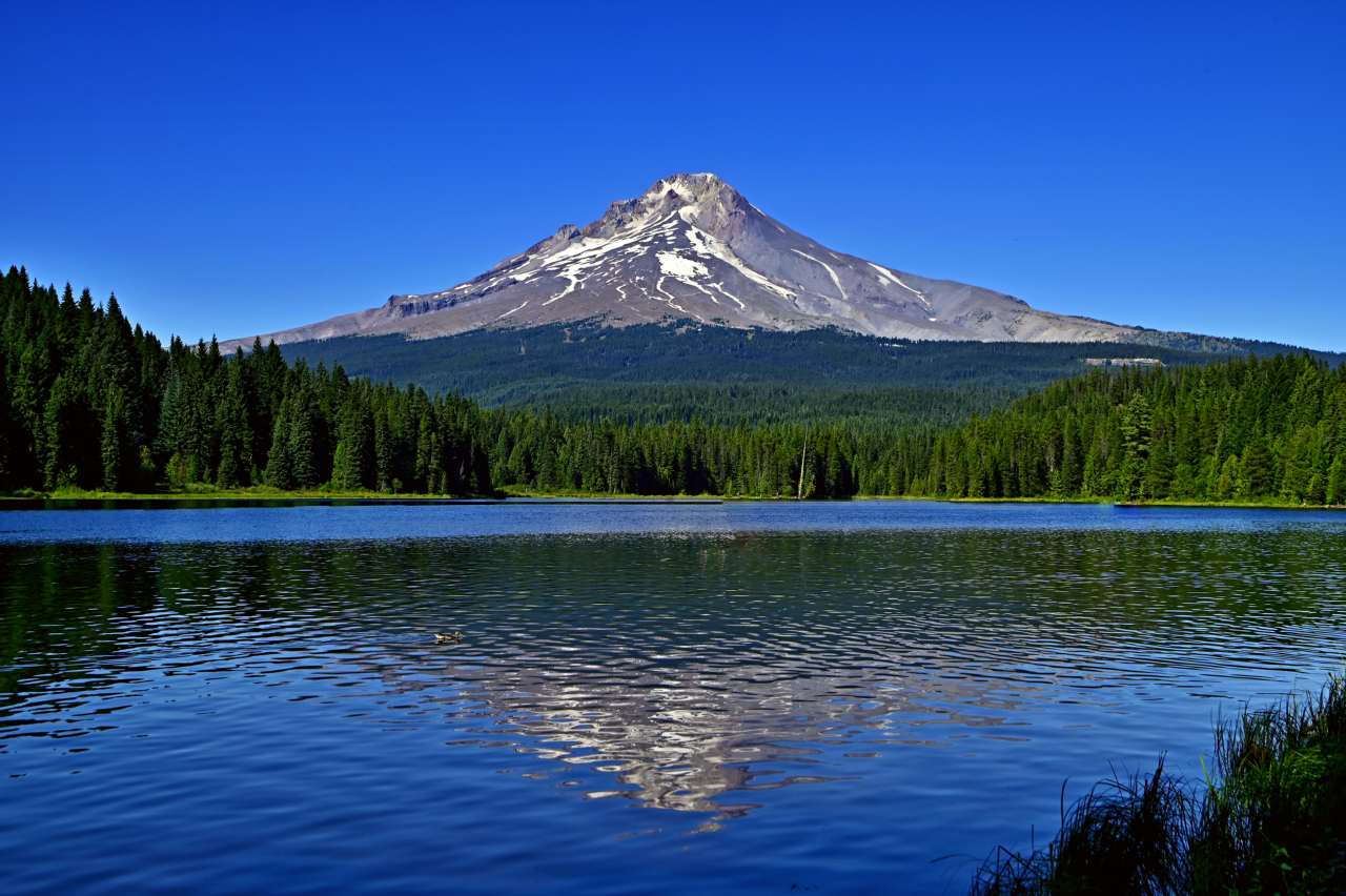 Mount Hood
