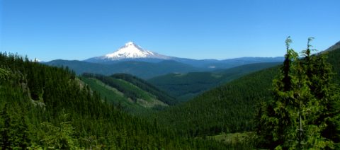 Mount Hood National Forest