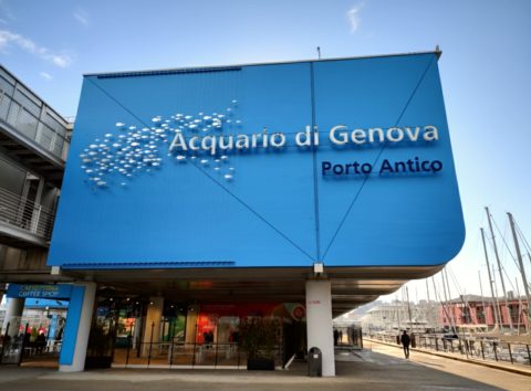 Aquarium of Genoa