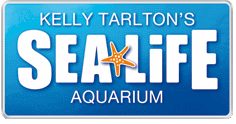 凯利·塔尔顿海洋生物水族馆