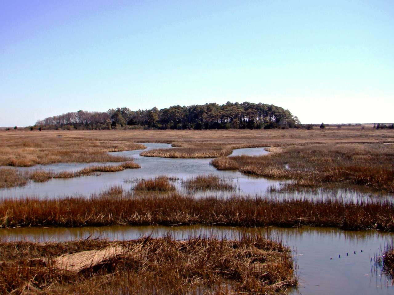 Eastern Shore of Virginia National Wildlife Refuge