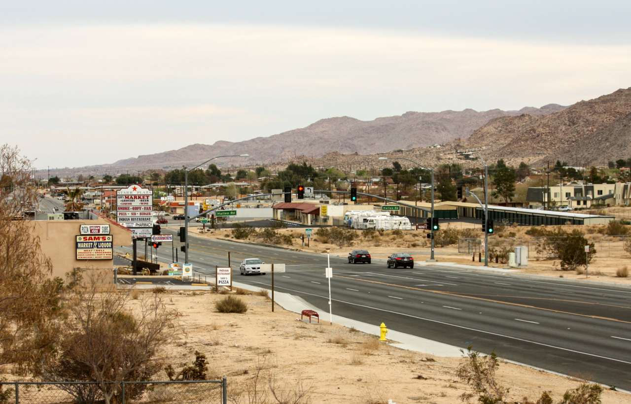 Joshua Tree