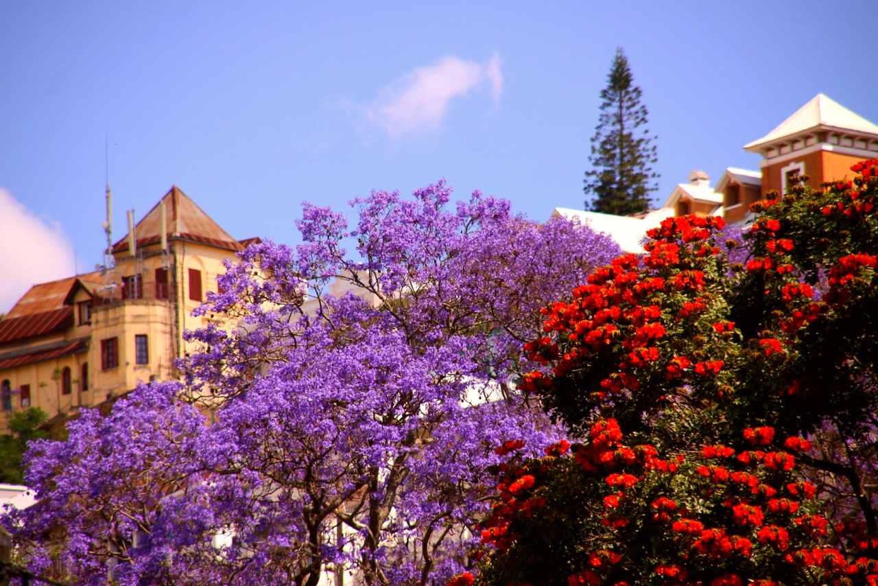 Antananarivo