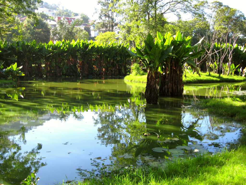 Tsimbazaza Zoo