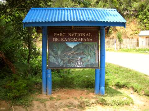 Ranomafana National Park