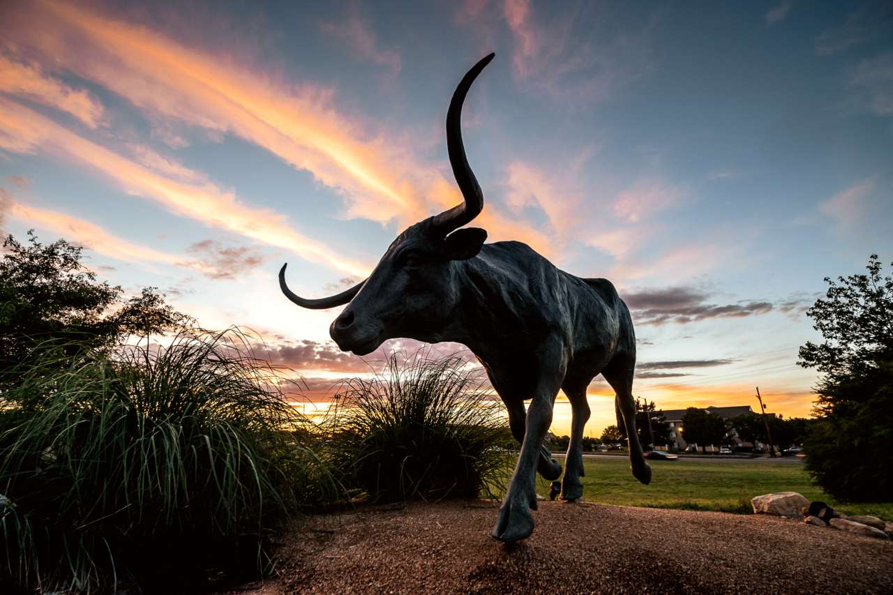 National Ranching Heritage Center
