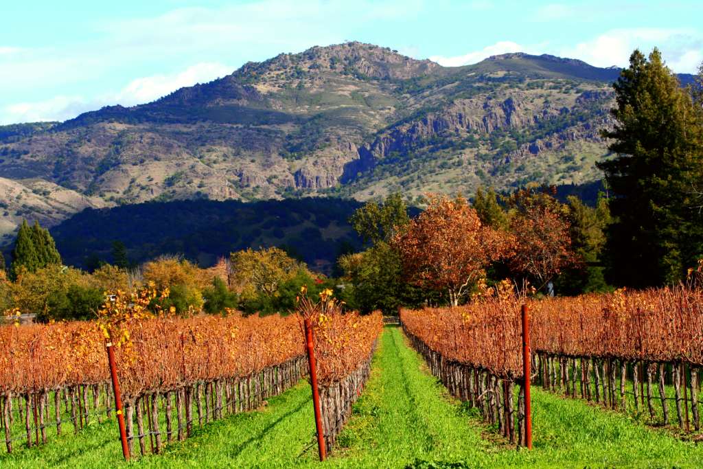 Local traditions - Napa Valley