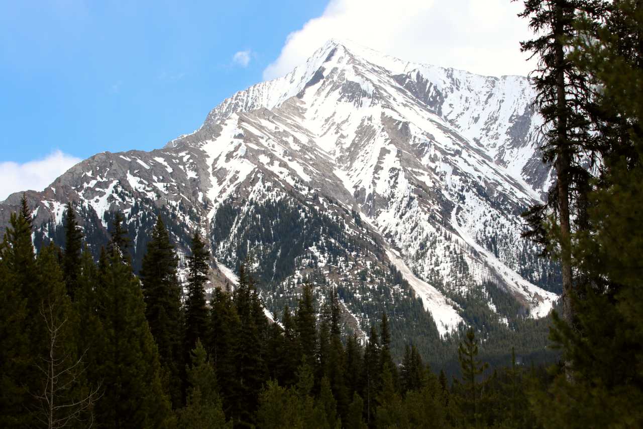 Local food and drinks - Kananaskis