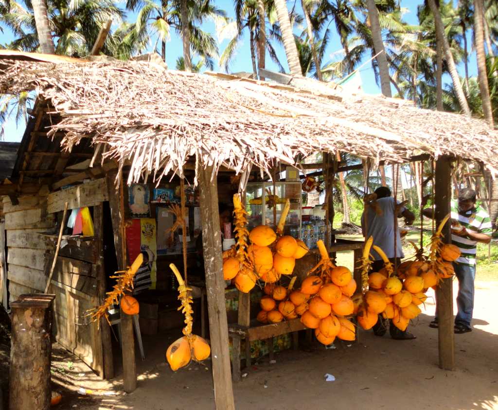 Local food and drinks - Negombo
