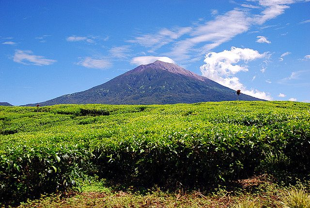 Historie - Kerinci Seblat National Park