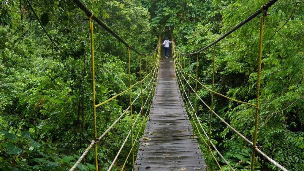 Histoire - Kutai National Park