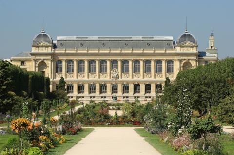Jardín de las Plantas