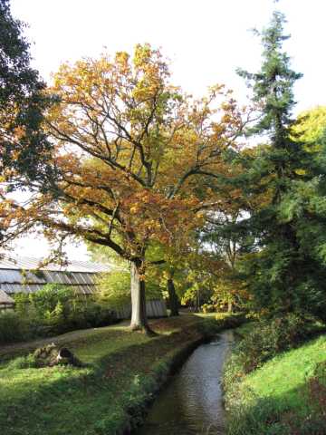 Parque Roath