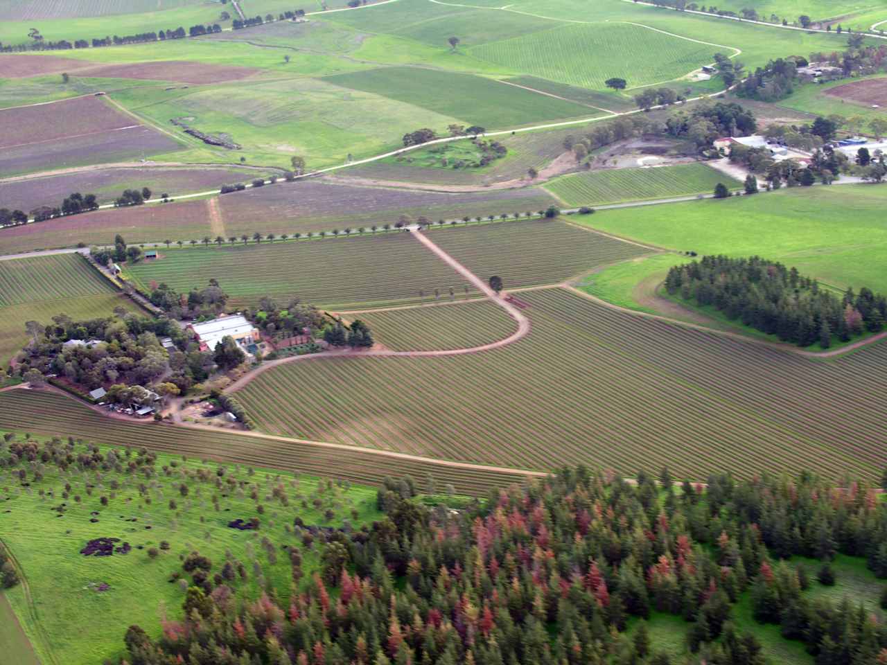 Local traditions - South Australia