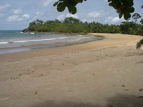 Busua