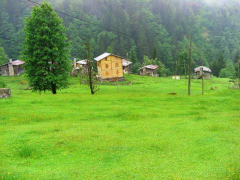 Ayder