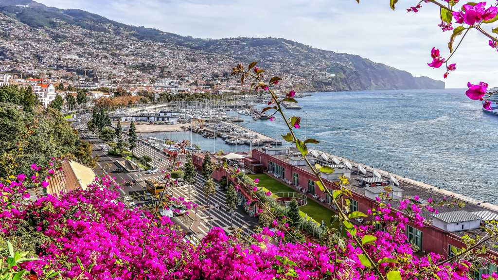 历史 - Funchal