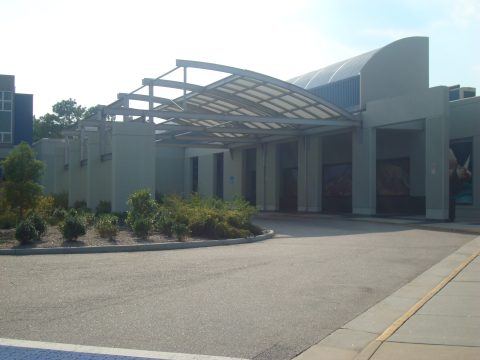 Virginia Aquarium & Marine Science Center