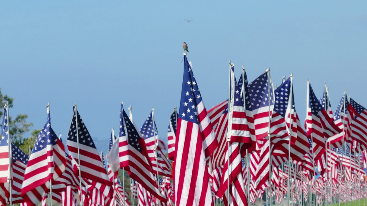 Historia - United States