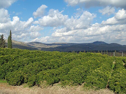 History - Galilee