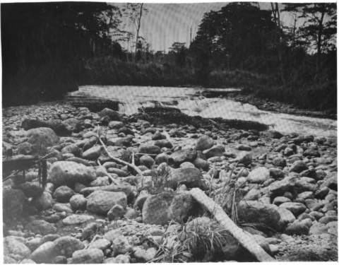 Bohorok River