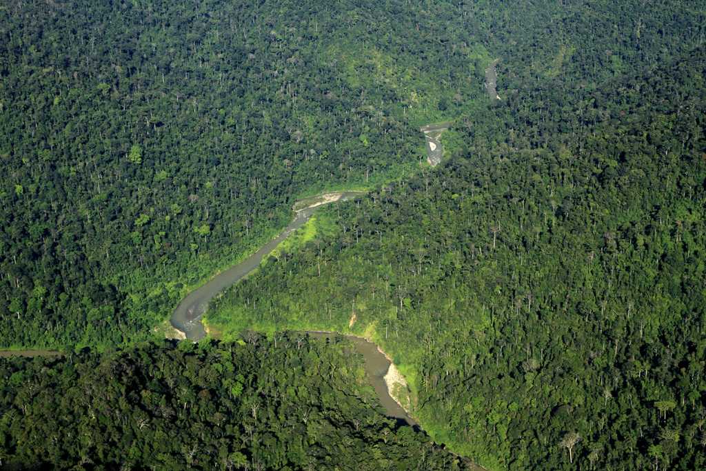 Gunung Leuser National Park