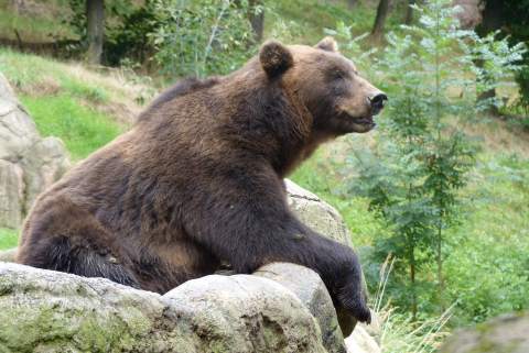 Brno Zoo
