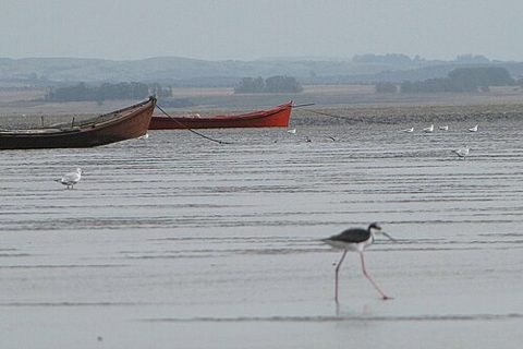 Laguna de Rocha