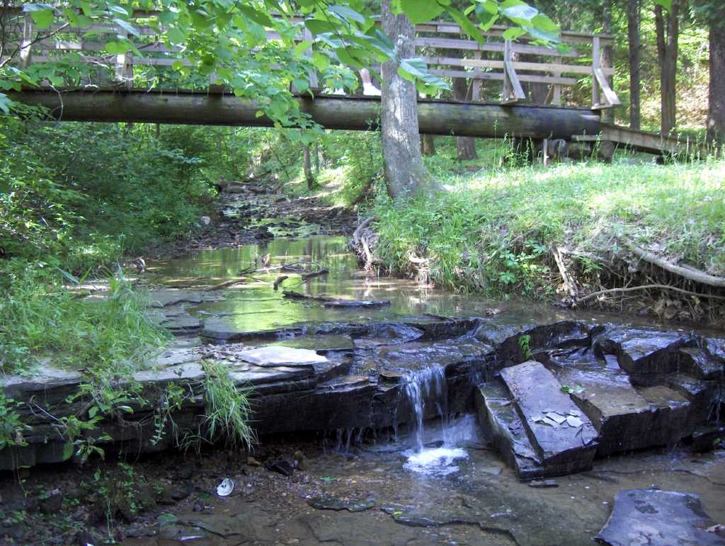 Wildlife Reserve