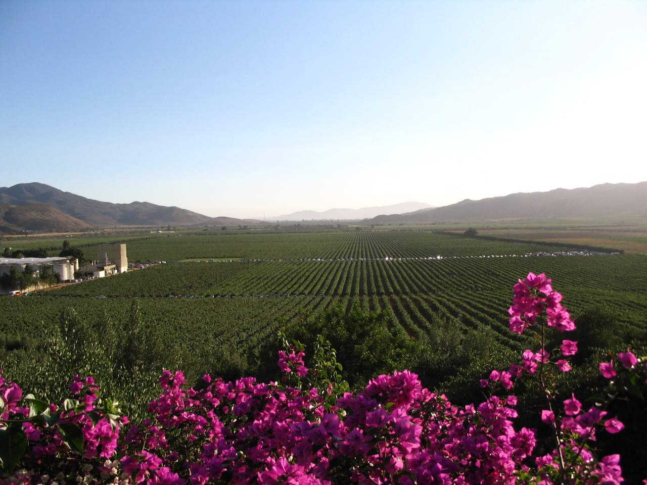 Histoire - Valle de Guadalupe