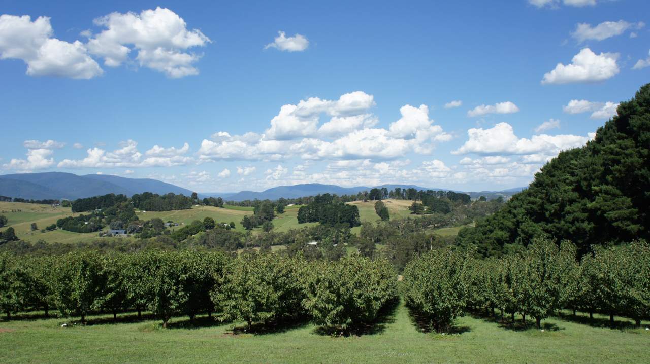 Geschichte - Yarra Valley