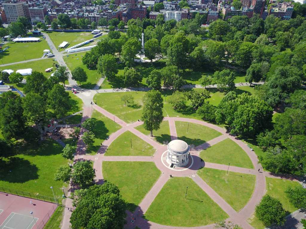 Frog Pond