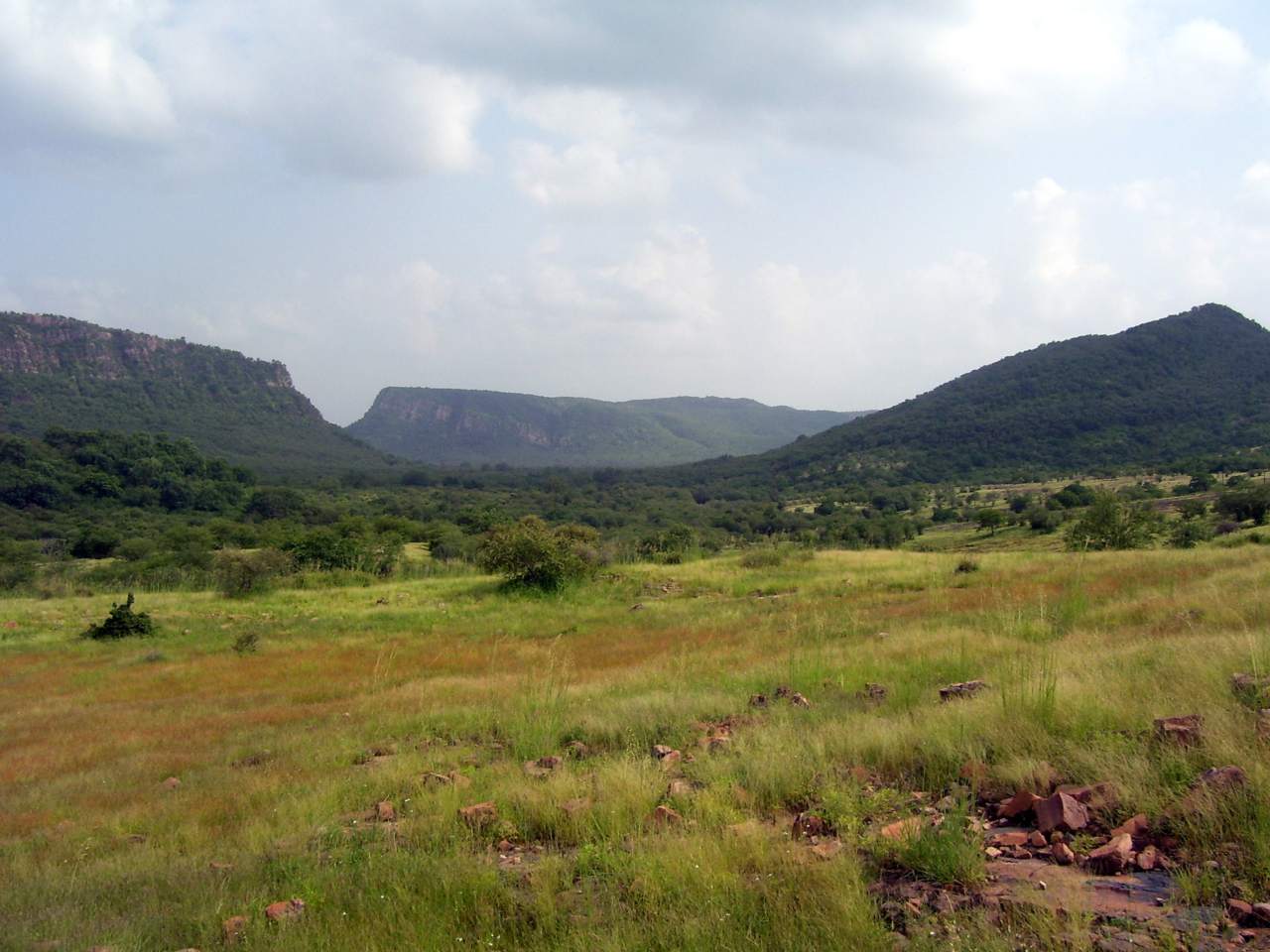 Histoire - Ranthambore National Park