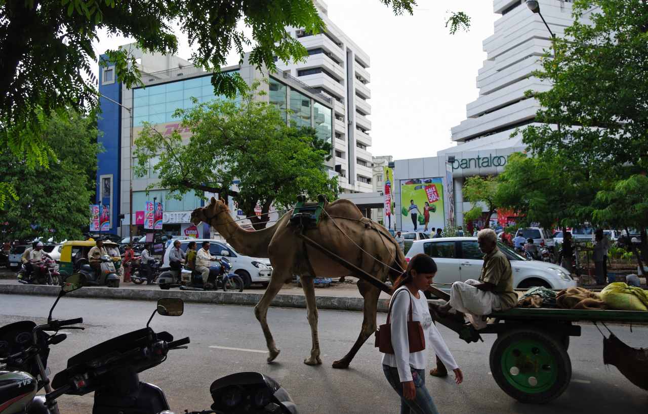 Tradiciones locales - Ahmedabad