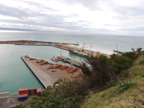 Napier Botanical Gardens