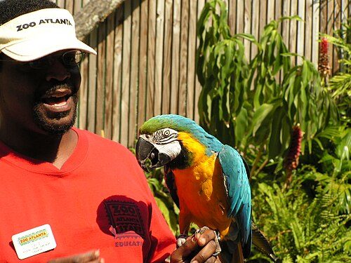 Zoo Atlanta