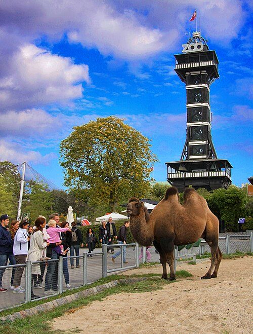 Copenhagen Zoo
