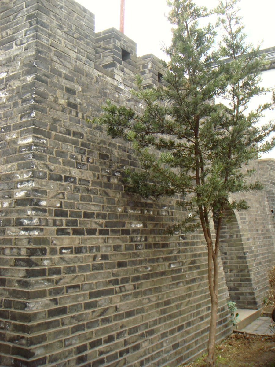 History - Shanghai