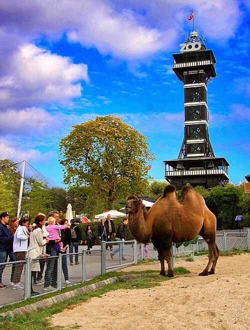 Copenhagen Zoo