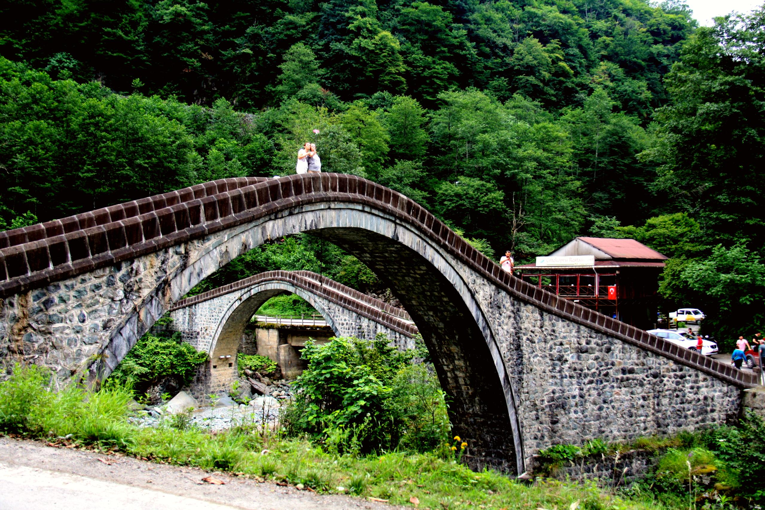 Explore the lush landscapes of Artvin