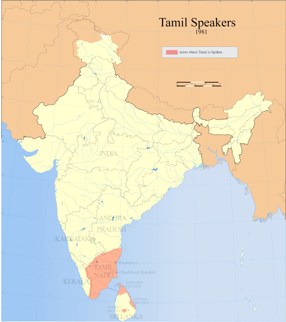 Lokales Essen und Trinken - Chennai
