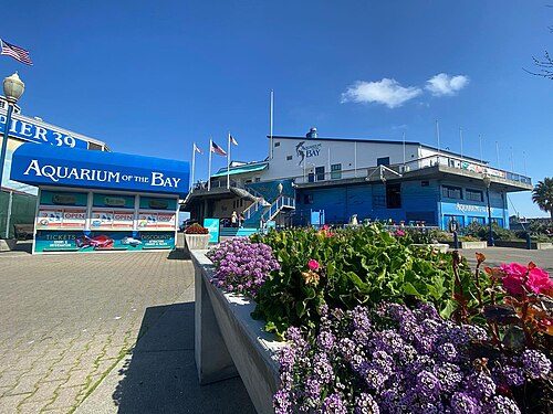 Aquarium of the Bay
